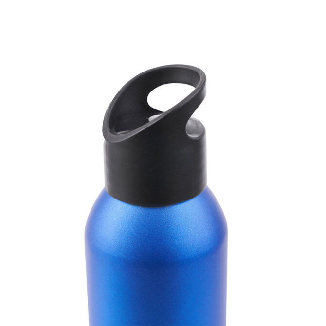 Botella PENGUIN - Imagen 3
